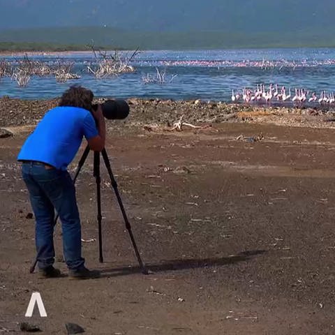 Geograph Michael Martin fotografiert Flamingos