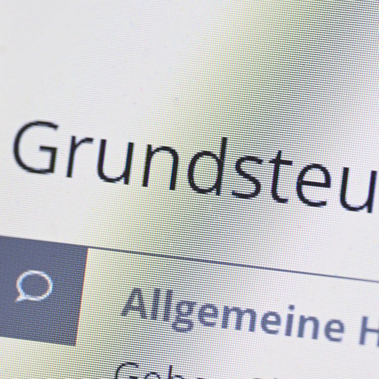 Grundsteuer auf einem Computerbildschirm auf der Seite des Online-Steuerportals Elster. (Foto: dpa Bildfunk, picture alliance/dpa | Bernd Weißbrod)