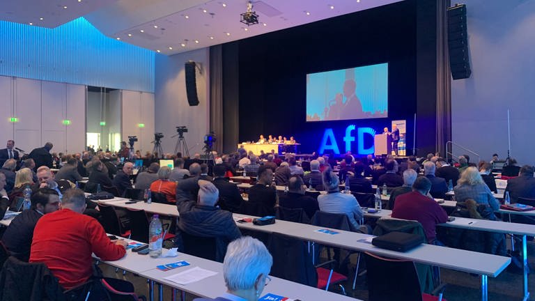 AfD-Parteitag in Offenburg (Foto: SWR, Maya Rollberg)