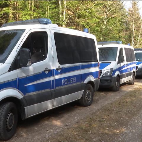 Polizeiautos parken im Wald (Foto: SWR)