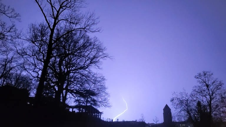 Blitz über Villa Berg Park in Stuttgart (Foto: SWR, Jana Prochazka)