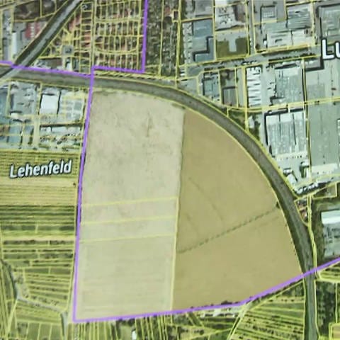 Gebiet für geplantes LEA (Foto: SWR)