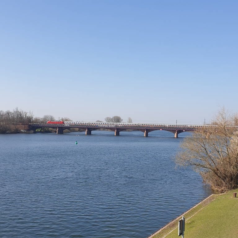 Ein Zug fährt in Ladenburg über die Neckarbrücke. (Foto: SWR, Patrick Seibert)