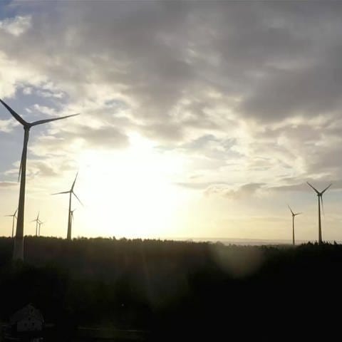 Windräder am Horizont (Foto: SWR)
