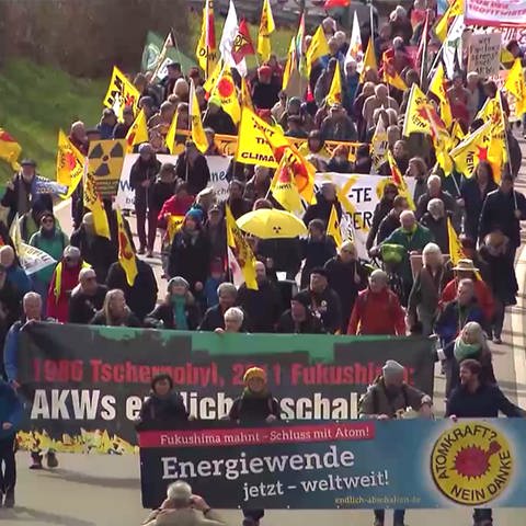 Anti-Atomkraft Demonstration (Foto: SWR)