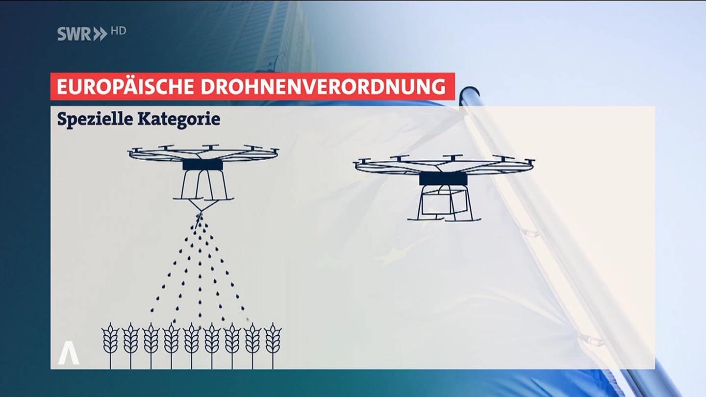 Erklärstück Drohnen (Foto: SWR)