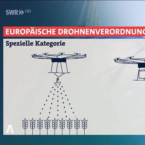 Erklärstück Drohnen (Foto: SWR)