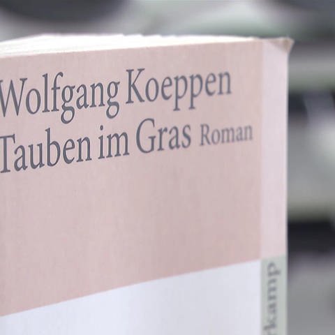 Roman "Tauben im Gras" von Wolfgang Koeppen