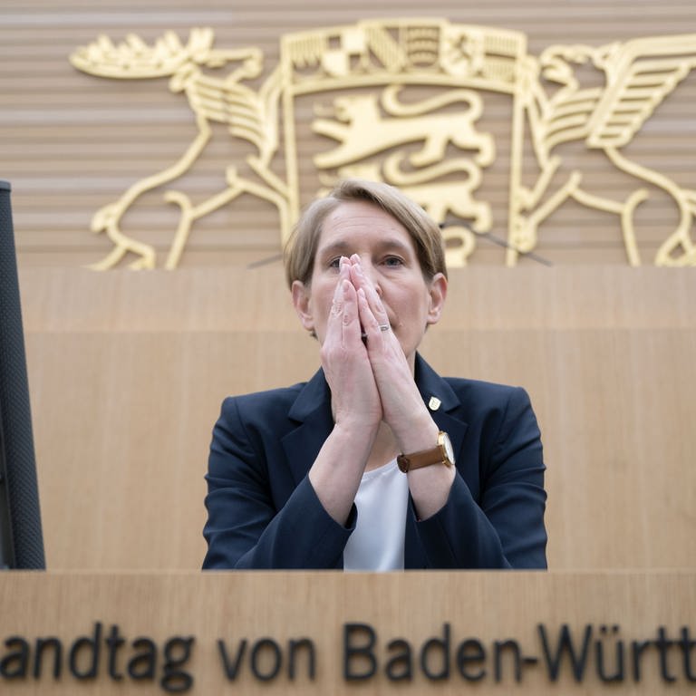 Landespolizeipräsidentin Stefanie Hinz im BW-Landtag