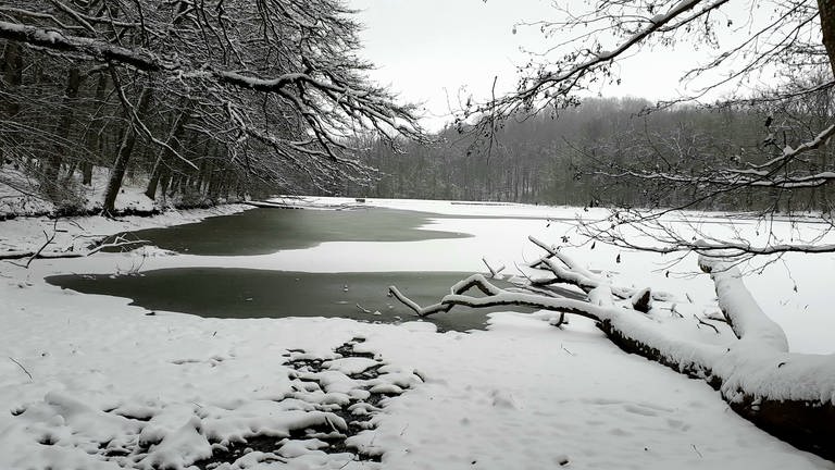 Schnee (Foto: User:in)