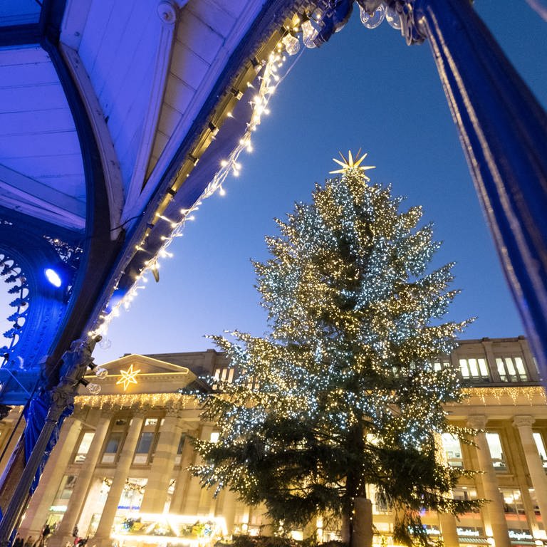 Im Abendlicht leuchtet der Weihnachtsbaum auf dem Stuttgarter Weihnachtsmarkt. (Foto: dpa Bildfunk, picture alliance/dpa | Bernd Weissbrod)