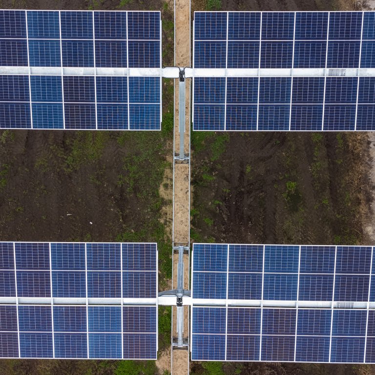 Solarmodule einer Agrar-Photovoltaik-Anlage (Aufnahme mit einer Drohne) (Foto: dpa Bildfunk, SWR, picture alliance/dpa | Philipp Schulze (Symbolbild))