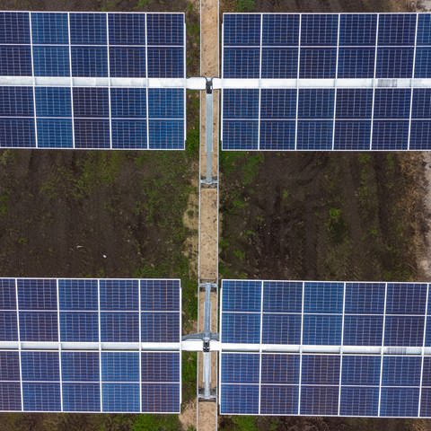 Solarmodule einer Agrar-Photovoltaik-Anlage (Aufnahme mit einer Drohne) (Foto: dpa Bildfunk, SWR, picture alliance/dpa | Philipp Schulze (Symbolbild))