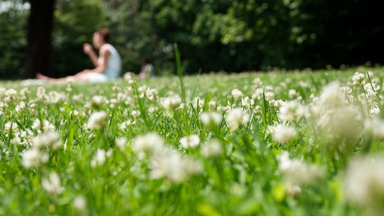 Eine Frau sitzt bei strahlendem Sonnenschein auf einer Wiese mit weißen Blumen. (Foto: dpa Bildfunk, picture alliance/dpa | Jonas Klüter)