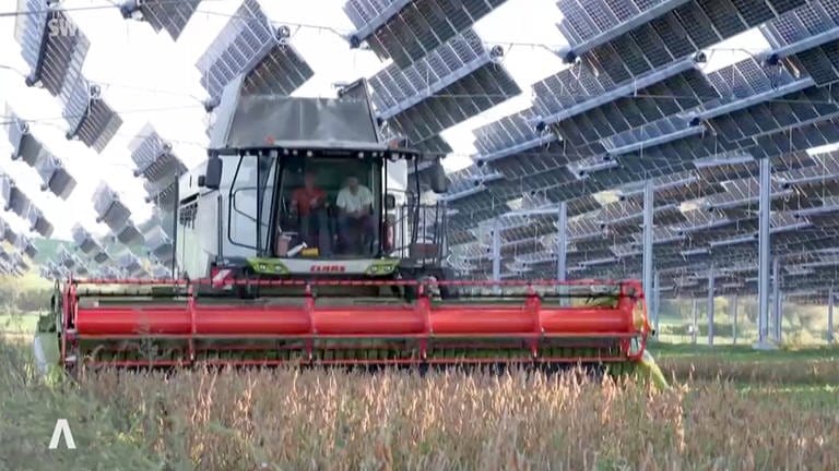 Solaranlagen in der Landwirtschaft
