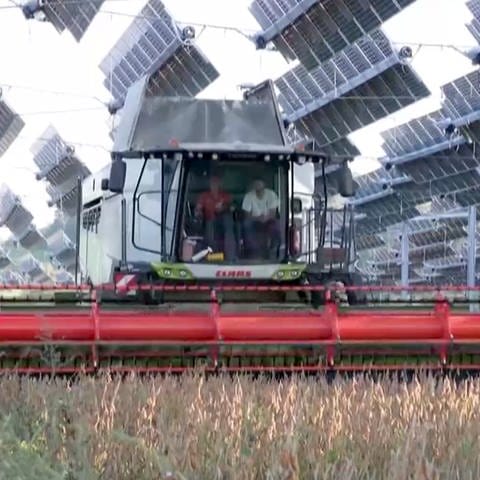 Solaranlagen in der Landwirtschaft (Foto: SWR, Schweizer Fernsehen)