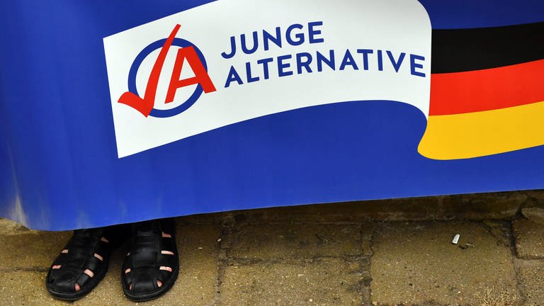 Junge Alternative (Foto: dpa Bildfunk, picture alliance/dpa | Jens Kalaene)