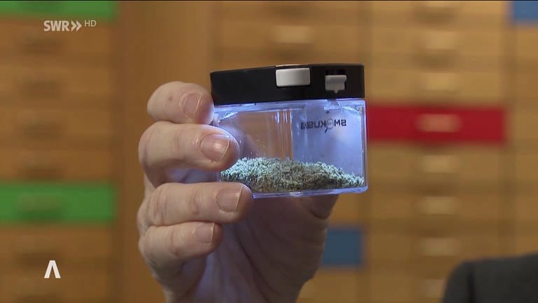 Cannabis aus der Apotheke (Foto: SWR, Schweizer Fernsehen)