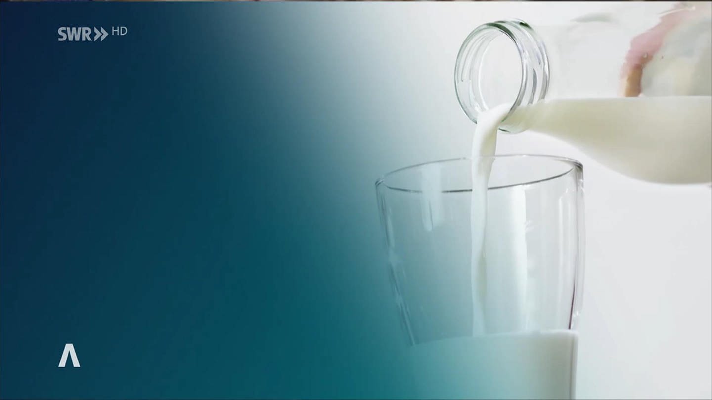 Milchpreis fällt bei Discountern (Foto: SWR)
