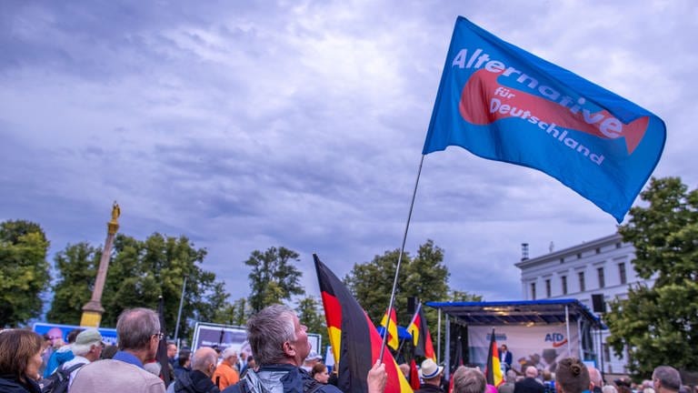 Ein Anhänger der AfD hält bei einer Wahlkampfveranstaltung eine Fahne der Partei hoch (Archivbild).  (Foto: dpa Bildfunk, picture alliance/dpa/dpa-Zentralbild | Jens Büttner)