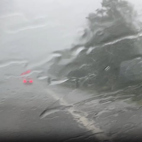 Starkregen auf der Autobahn 81 bei Hegau (Foto: SWR)