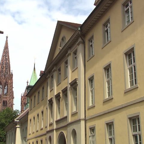 Blick auf Freiburger Münster (Foto: SWR)