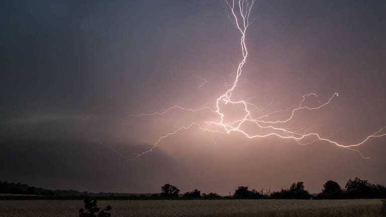 Blitze über eine Wiese (Foto: Raffael Kort)