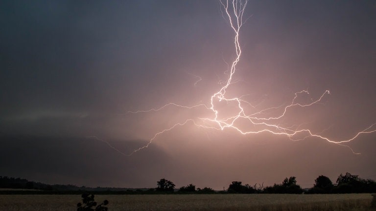 Blitze über eine Wiese