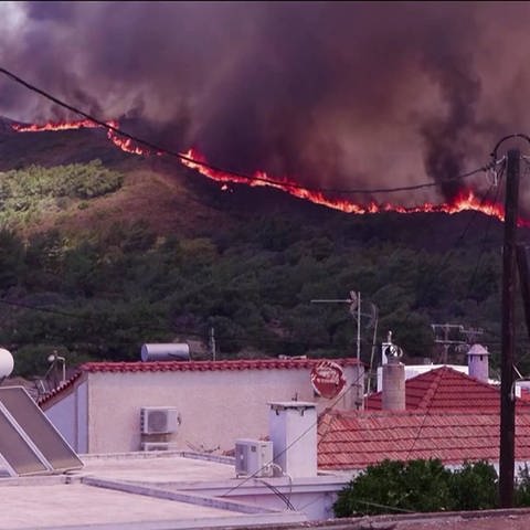Waldbrand auf Rhodos (Foto: SWR)