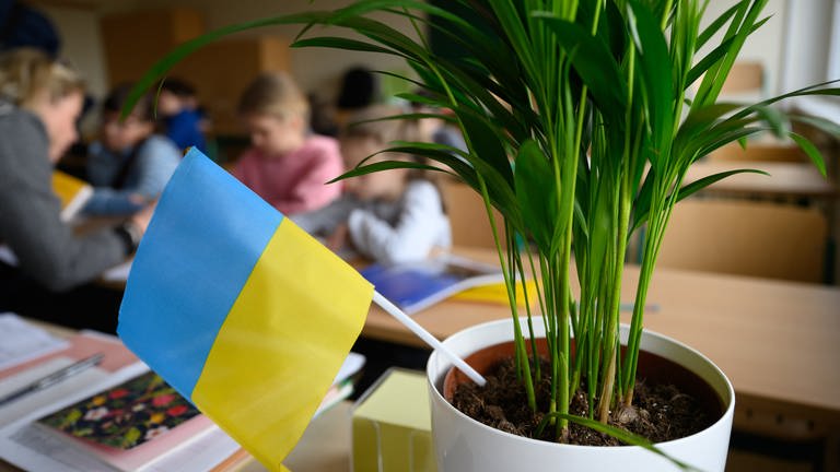 Grundschüler aus der Ukraine sitzen in einem Klassenzimmer.