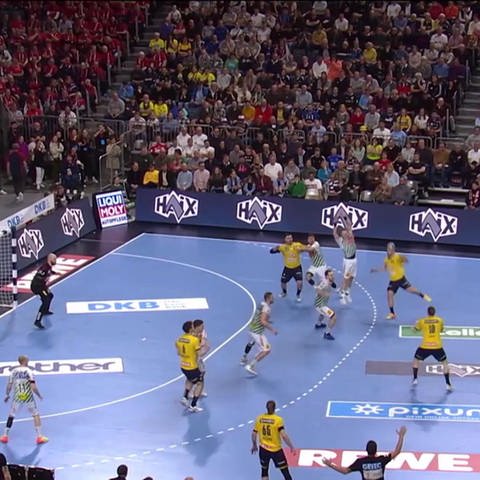Handballspiel (Foto: SWR)