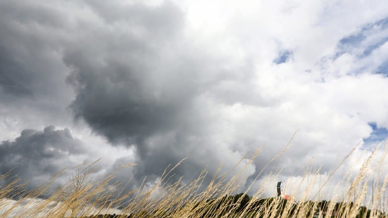 Blick durch trockenes Gras auf die Wallfahrtskirche Sankt Johannes Baptist auf dem Berg Bussen in Uttenweiler-Offingen. Hinter der Kirche ziehen dunkle Regenwolken auf. (Foto: dpa Bildfunk, picture alliance/dpa | Thomas Warnack)