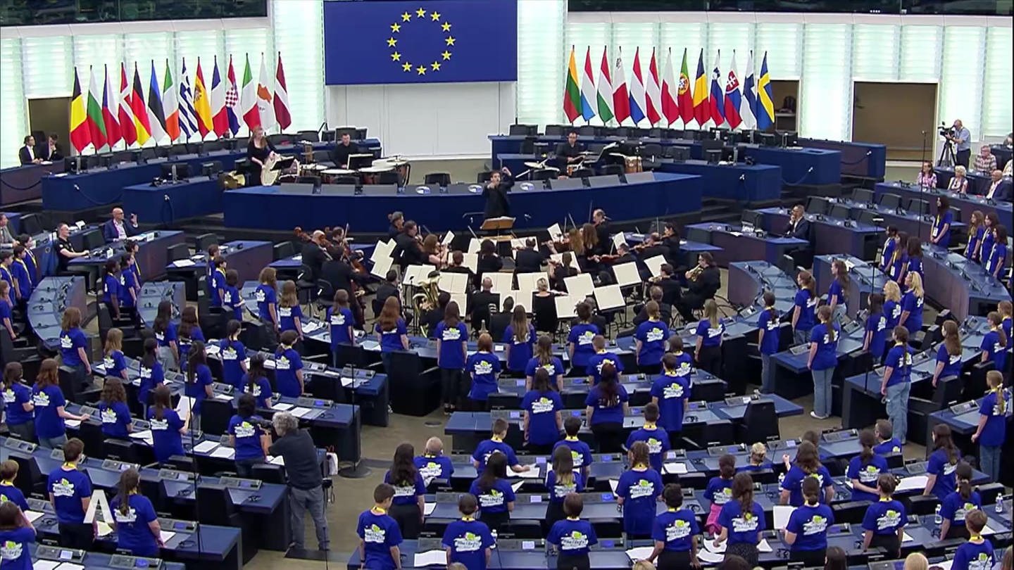 1000 Stimmen im Europaparlament (Foto: SWR)