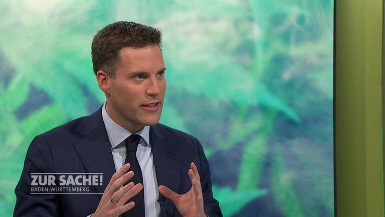 CDU-Fraktionschef Hagel in der SWR-Sendung "Zur Sache Baden-Württemberg"
