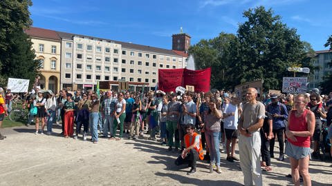 Bei einer Kundgebung von Fridays for Future in Karlsruhe steht eine Menschenmenge mit Transparenten auf dem Friedrichsplatz. (Foto: SWR, Greta Hirsch)