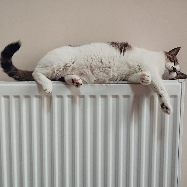 Katze räckelt sich auf einem weißen Heizkörper: Das neue Gebäude Energie Gesetz soll zum 1. Januar 2024 in Kraft treten (Foto: Unsplash/he gong )
