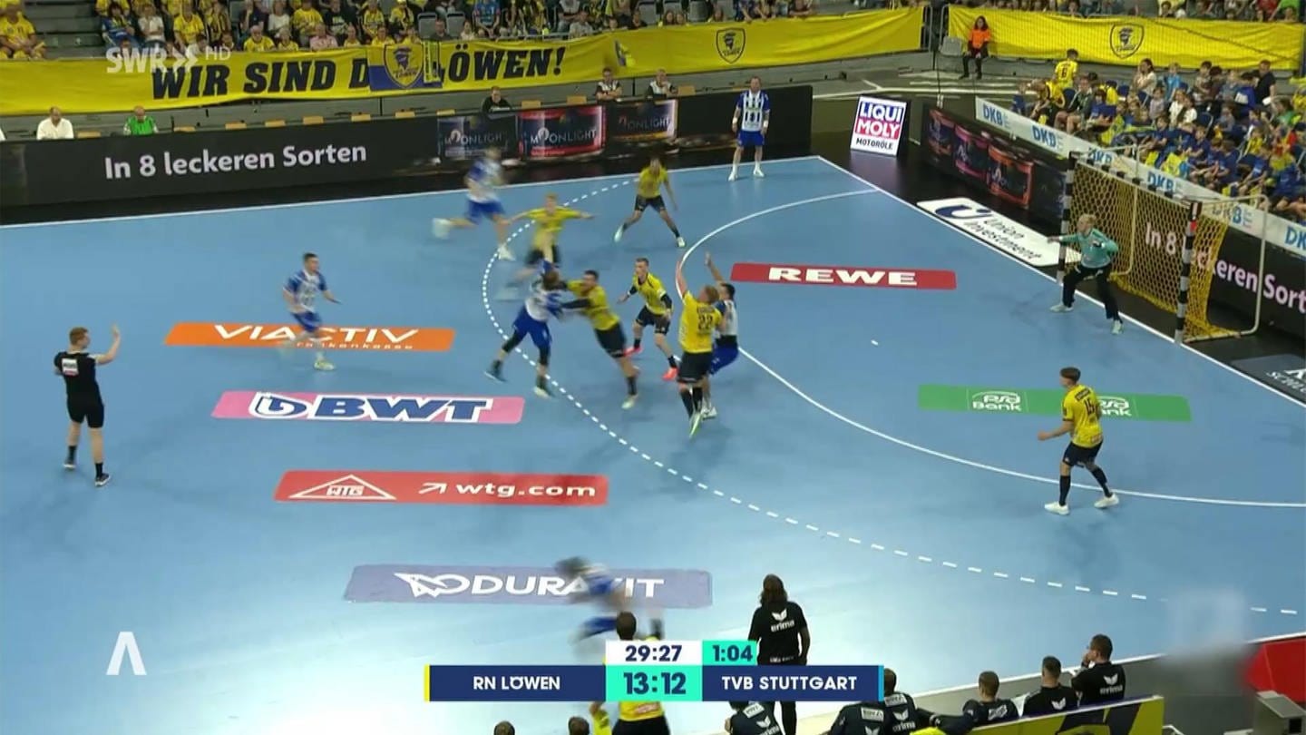 Handball (Foto: SWR)