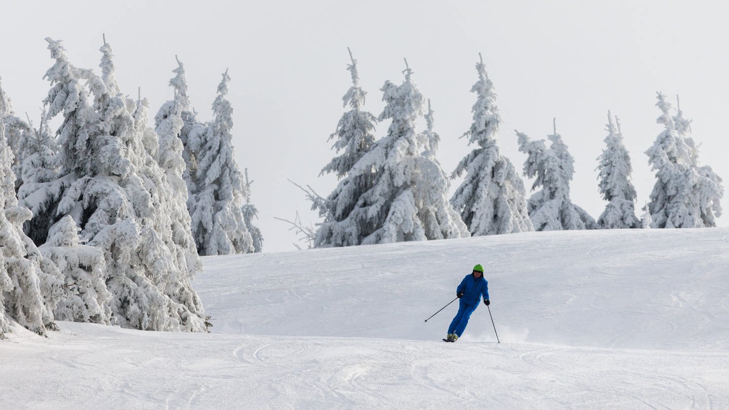 Skifahrer auf Skipiste mit Schnee und Bäumen am Seibelseckle im Ortenaukreis (Foto: dpa Bildfunk, picture alliance/dpa | Philipp von Ditfurth)