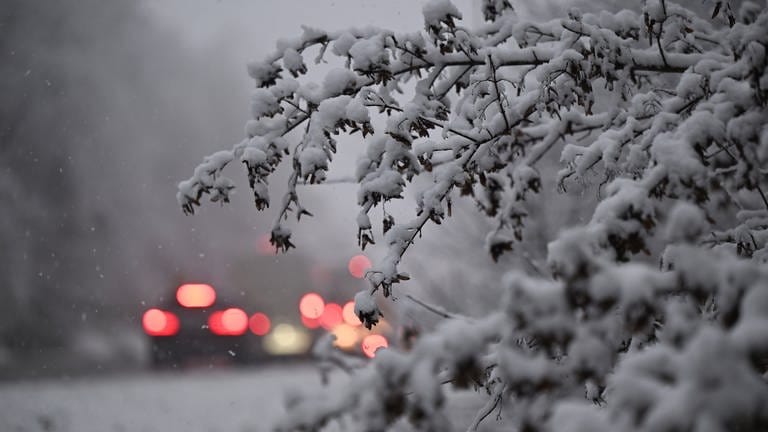Rücklichter von Fahrzeugen leuchten im morgendlichen Berufsverkehr auf einer Straße durch ein verschneites Waldgebiet in Stuttgart.  (Foto: dpa Bildfunk, Picture Alliance)