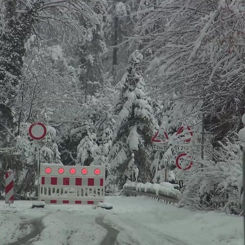 Schneebedeckte Straße mit Absperrung (Foto: SWR)