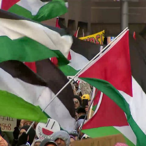 Pro Palestina Demo