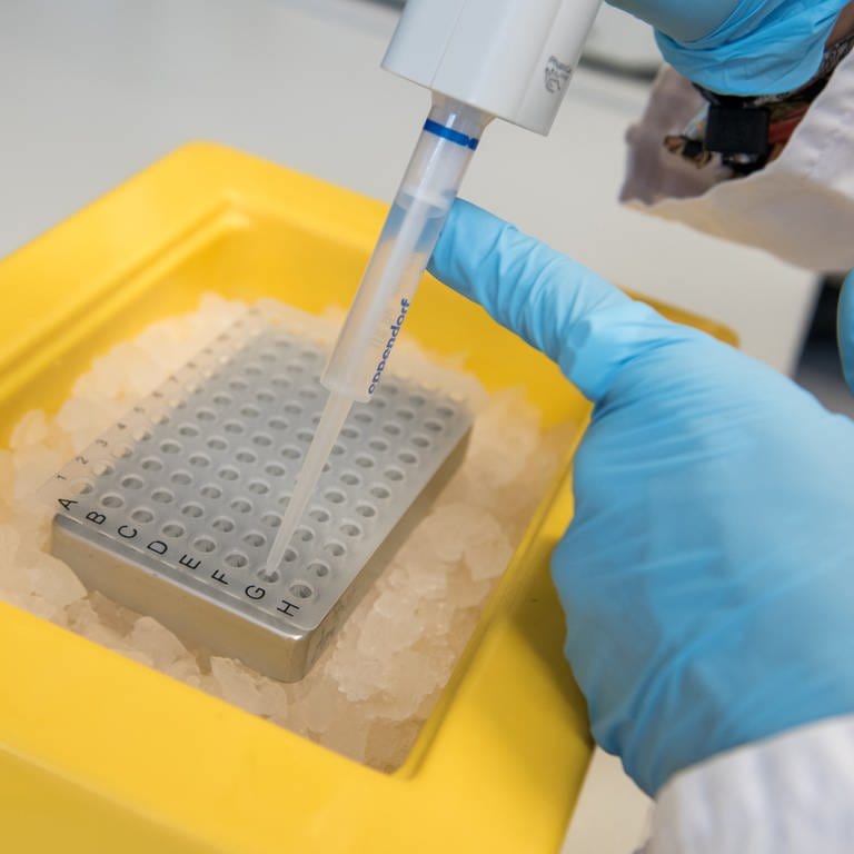 Ein biologisch-technischer-Assistent pipettiert in einem Forschungslabor DNA auf eine Lagerplatte.