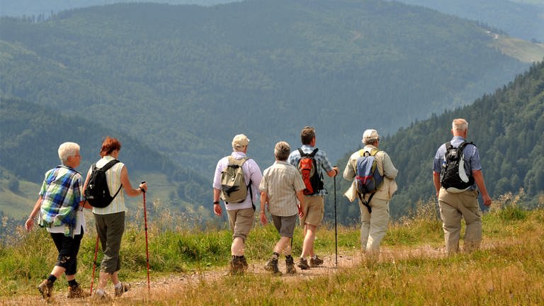 Eine Wandergruppe im Schwarzwald. (Foto: dpa Bildfunk, Rolf Haid/dpa)