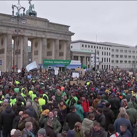 Protest in Berlin (Foto: SWR)