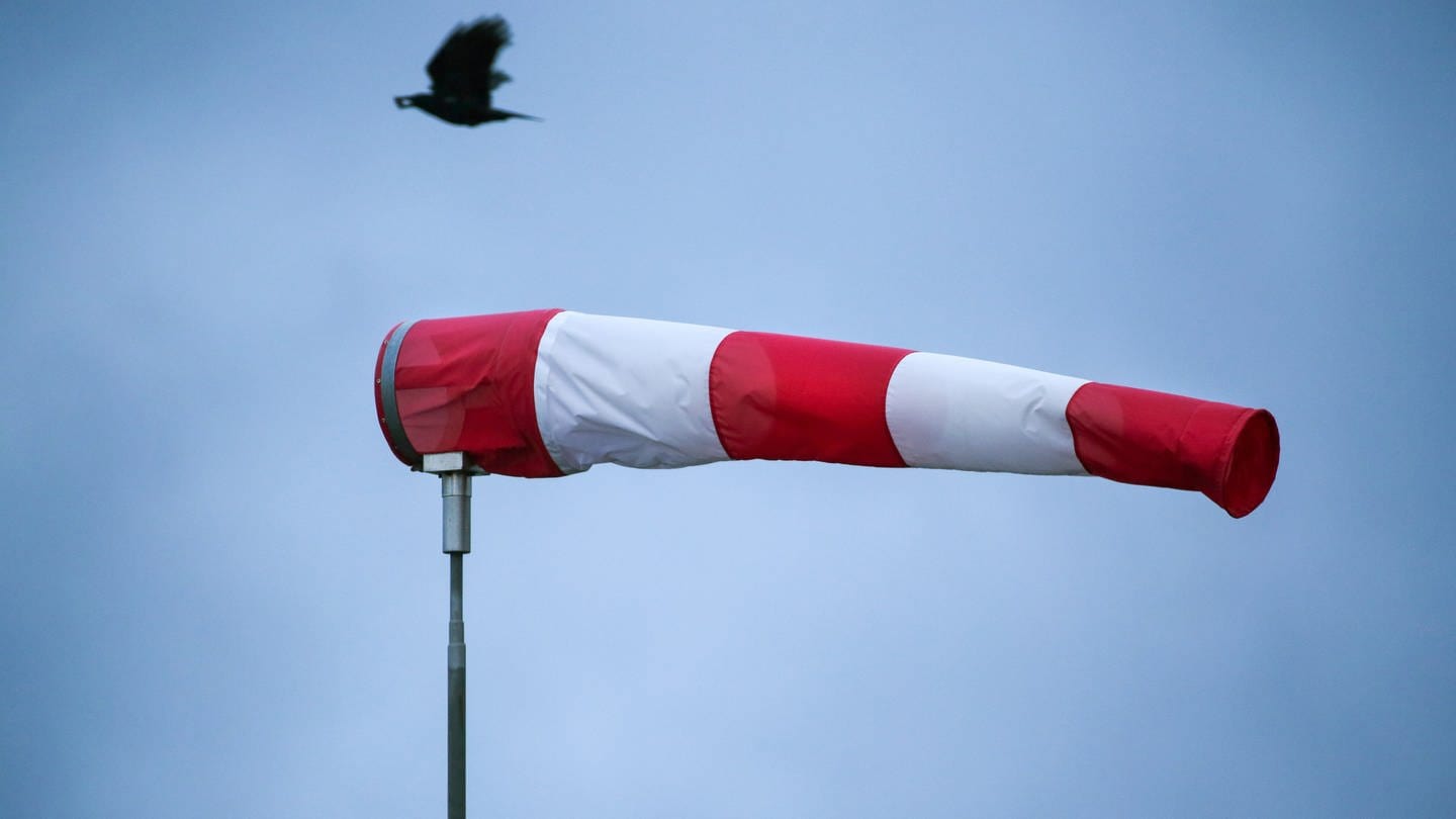 Ein Windsack steht im starken Wind, während im Hintergrund eine Krähe fliegt. (Foto: dpa Bildfunk, picture alliance/dpa | Thomas Warnack)