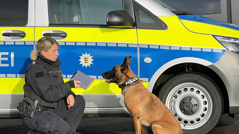 Eine Polizistin hält ein Tablet vor einem Schäferhund: In Baden-Württemberg wurden sechs Hunde zu Datenträger-Spürhunden ausgebildet. Sie sollen bei der Suche nach Handys, Festplatten und USB-Sticks helfen.