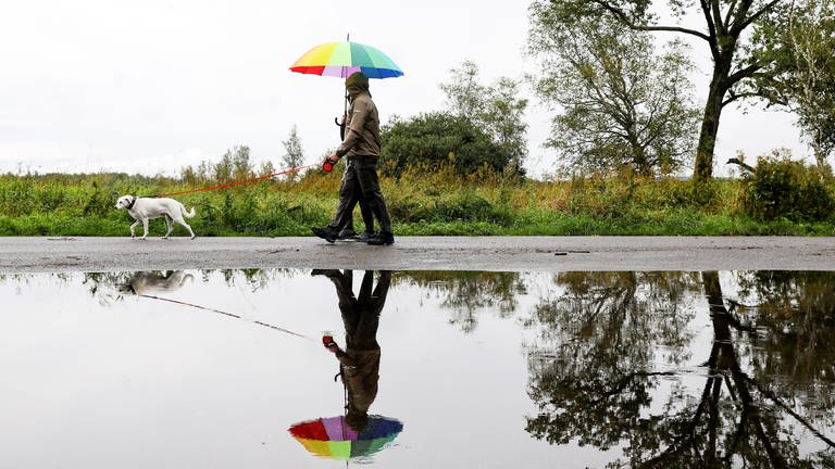 Ein Mann und eine Frau gehen mit einem Hund im Regen spazieren.