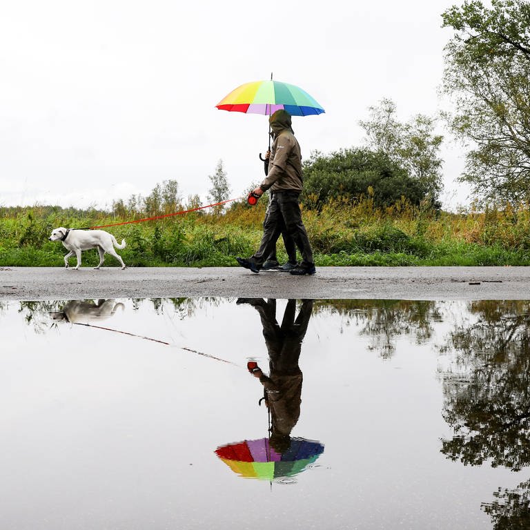Ein Mann und eine Frau gehen mit einem Hund im Regen spazieren. (Foto: dpa Bildfunk, picture alliance/dpa | Thomas Warnack)