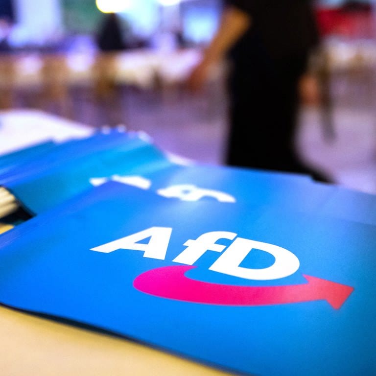 Fahnen mit dem AfD-Logo (Foto: dpa Bildfunk, picture alliance/dpa | Daniel Karmann)