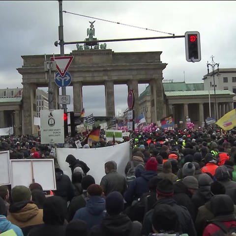 Bauernprotesten am Brandenburger Tor (Foto: SWR)